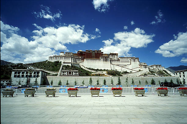 A stunning wide-angle view of the Potala Palace in Lhasa during the day. The historic fortress is set against a magnificent backdrop of sun-drenched, snow-capped mountain peaks and a clear sky. The foreground features lush greenery, capturing the high-altitude beauty and spiritual essence of the Tibetan plateau. Perfect for travel, heritage, and nature-themed editorial or commercial projects.