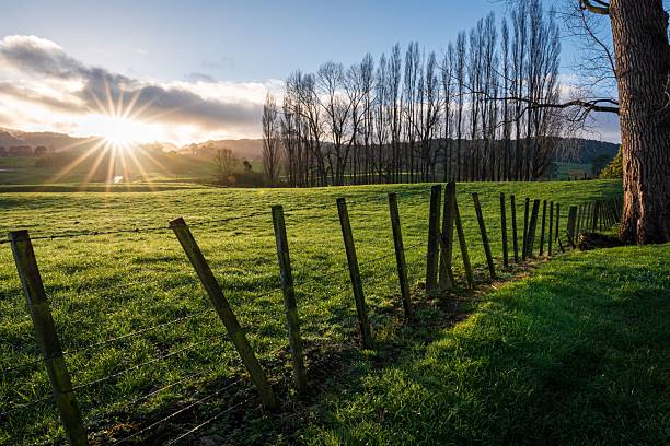 istock Sunrise over a lush green field. 2229944998