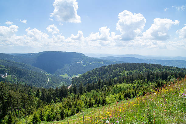 Landscape in the Black Forest