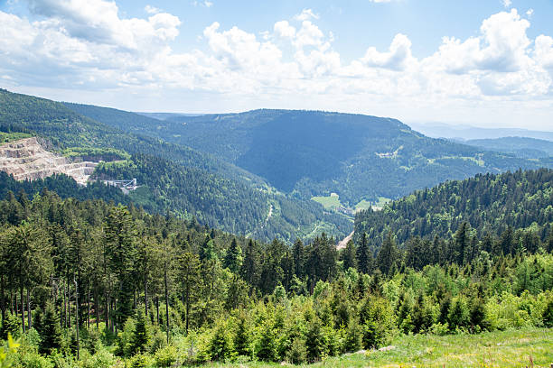 Landscape in the Black Forest