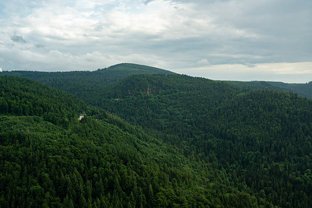 Blick über die Berge im Schwarzwald