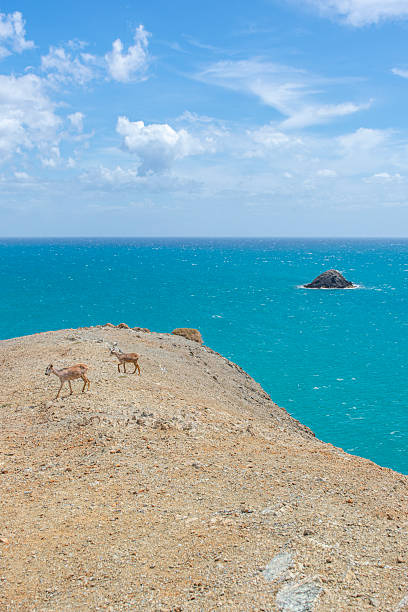 istock Scenic View at Cabo de la Vela, La Guajira 2229953696
