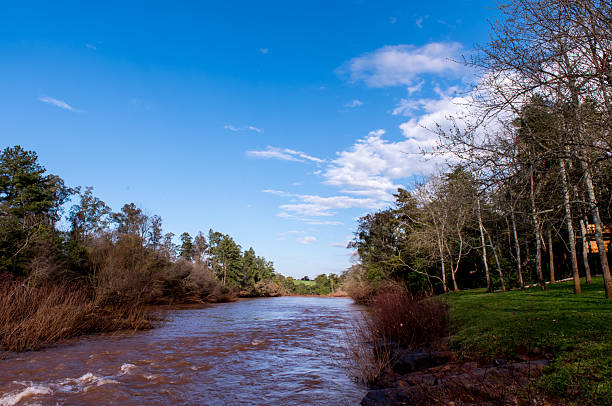 istock River, blue sky and forest of trees 2229955934