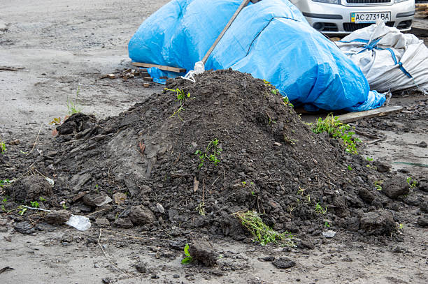 A soil-caked shovel lying in a partly dug-over area of mud in mottled sunlight.