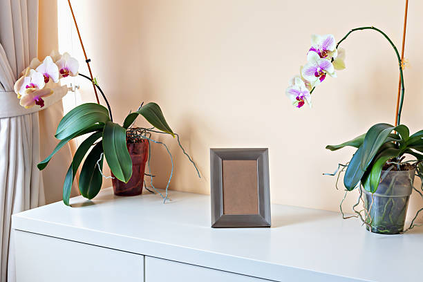 istock Elegant interior scene featuring orchid plants and blank picture frame on white cabinet 2229957448