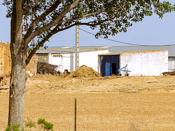 Agricultural warehouse in a typical rural landscape in central Spain.