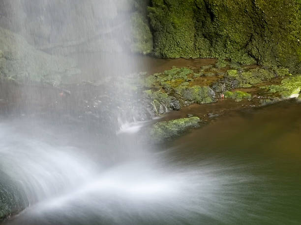 istock A waterfall is shown in the foreground of a lush green forest 2229958549