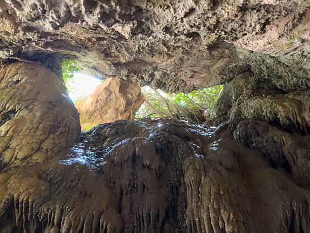 A cave with a small opening in the ceiling. The cave is filled with rocks and has a lot of moss growing on it