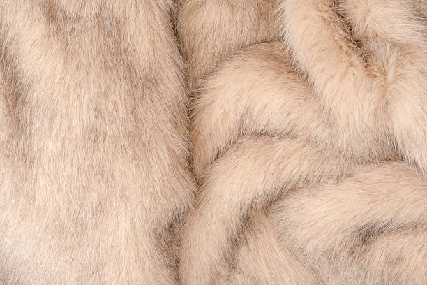 istock Texture of faux fur as a background, top view. 2229960033