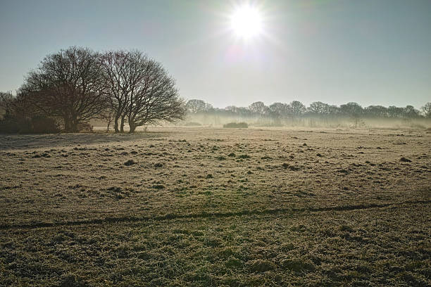 istock Leyton Flats on Frosty Winter Day 2229960124