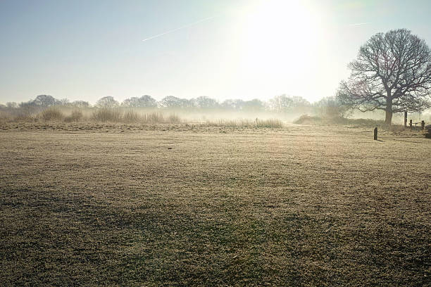 istock Leyton Flats on Frosty Winter Day 2229960136