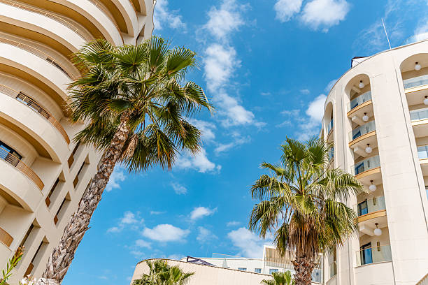 Modern buildings with white facades with palm trees on a sunny day, architecture concept