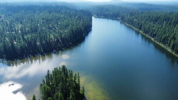 istock Dog Lake in Montana 2229961255