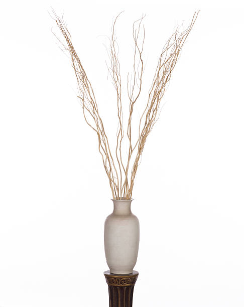 istock long vase with dry branches isolated on white background 2229963302