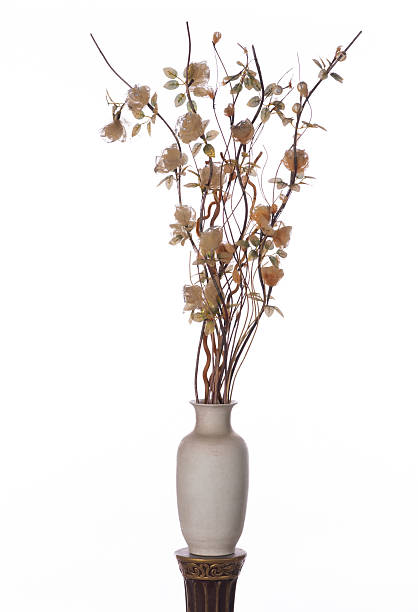 istock long vase with dried flowers isolated on white background 2229963330