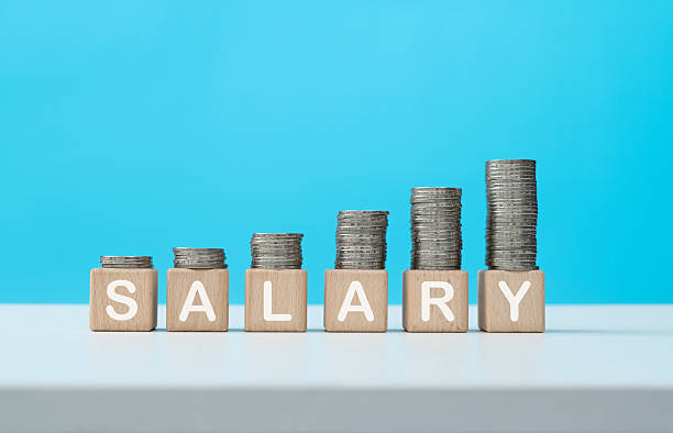 istock Stack of coins on word salary 2229969630
