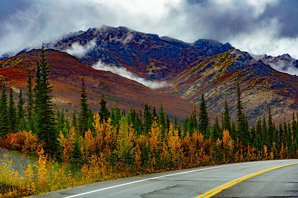 A road landscape view from Alaska, United States