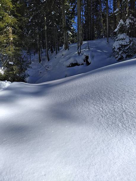 istock Glittering Fresh Snow in a Sunny Winter Forest 2229973093