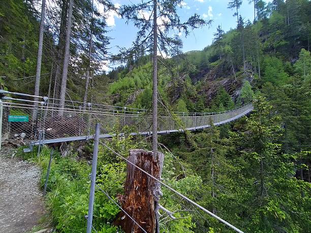 istock Suspension Bridge in Mountain Forest Landscape 2229973308