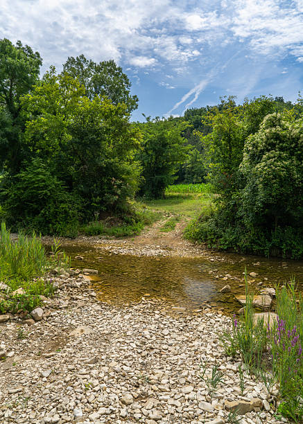 Freshwater stream winding through dense greenery and forest trees in Croatia. Peaceful and scenic mountain landscape, ideal for eco, outdoor themes.