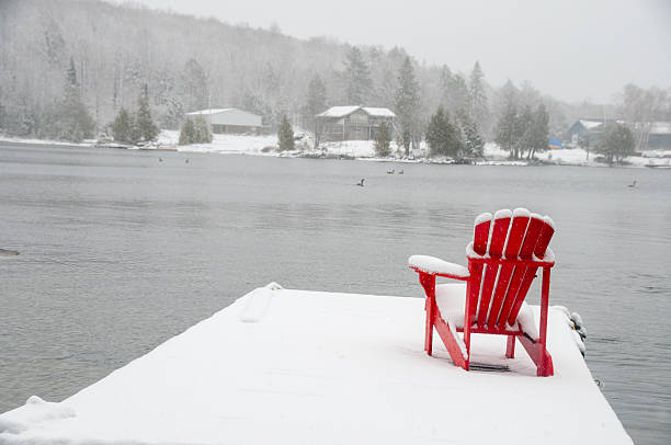 istock Canada geese swimming on a lake during a snowfall 2229978904