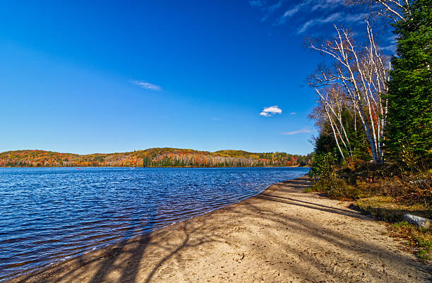 istock Distant cloud floating above the lake on a bright fall day - Arrowhead, ON, Canada 2229982868