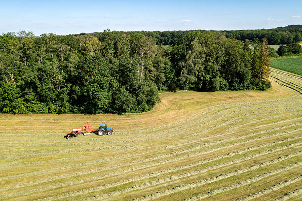 istock Tractor rowing hay, aerial view 2229982998