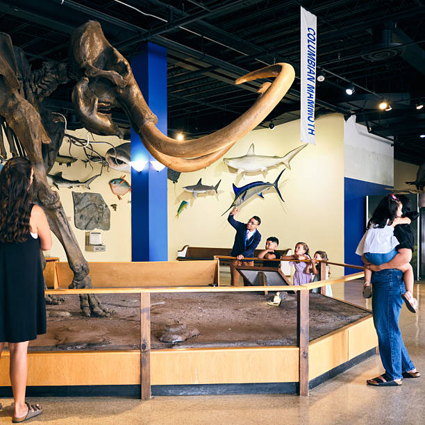 istock Columbian Mammoth Fossil Display in a Museum 2229983279