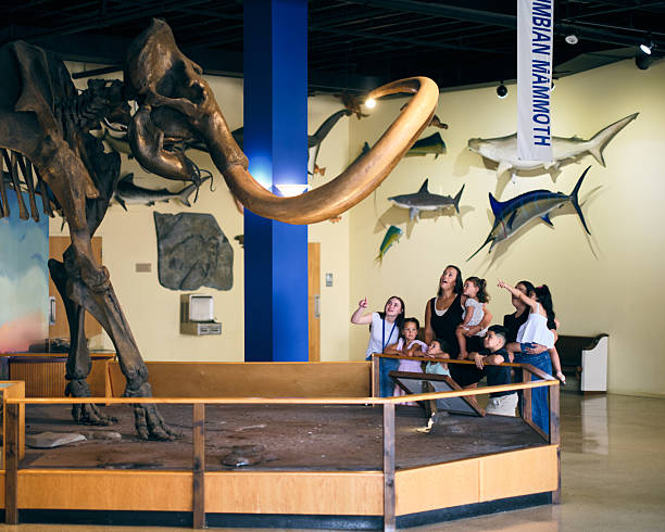 istock Columbian Mammoth Fossil Display in a Museum 2229983345