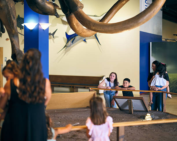 istock Columbian Mammoth Fossil Display in a Museum 2229983472
