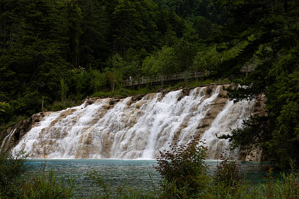 Cascading streams tumble from a mossy cliff edge at Nuorilang Waterfall, with a forested mountain backdrop in Jiuzhaigou National Park.