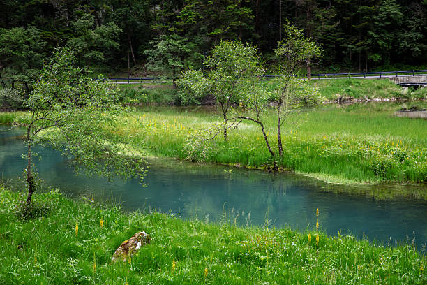 Jiuzhaigou Valley is a nature reserve and national park in the north of Sichuan, a province in south western China. It is known for its many multi-level waterfalls and colorful lakes, and was declared a UNESCO World Heritage Site in 1992. It belongs to the category V (Protected Landscape) in the IUCN system of protected area categorization.