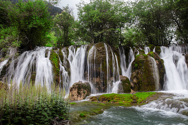 Cascading streams tumble from a mossy cliff edge at Nuorilang Waterfall, with a forested mountain backdrop in Jiuzhaigou National Park.