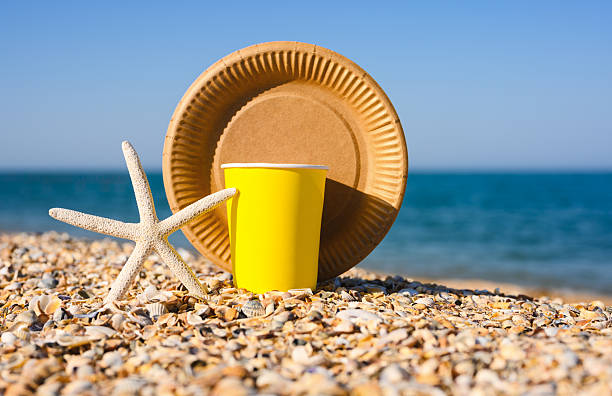 istock Paper disposable tableware on the beach. Eco-friendly tableware and starfish on the shore 2229986193