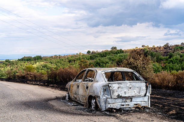 istock Burnt abandoned car in a rural landscape after fire devastation 2229993053