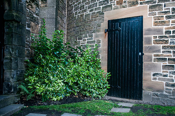 Black door, stone wall, large green bush, stepping stones leading to door.  What's behind the door?  It's unknown.  Very generic photograph but was taken at Edinburgh Castle, Scotland, United Kingdom.