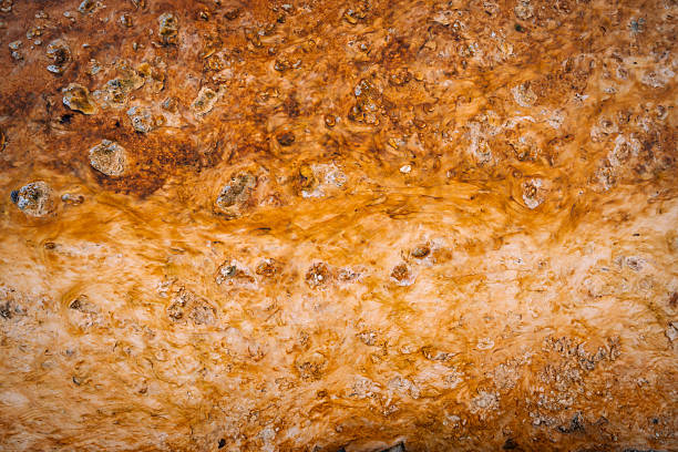 Detailed view of a geothermal surface in Yellowstone National Park showing mineral deposits and flowing patterns caused by thermal water activity. The image, taken in October 2024, highlights the vivid colors and textures created by natural geothermal processes.