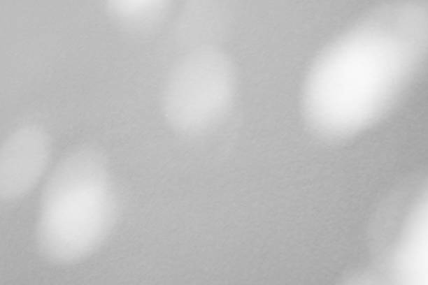istock Abstract natural tree branch leaves shadow on white wall background 2230015170