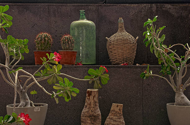 Still life with cactuses, bottles, ceramics and plants standing on the staircase step
