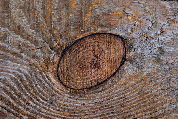 Close-up of a knot in the wood - natural pattern.