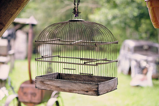 Antique wooden bird cage