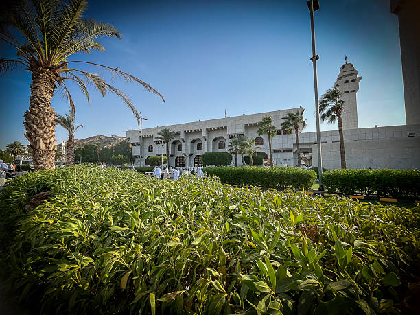 istock Islamic Architecture and Palm Trees in Makkah 2230040632