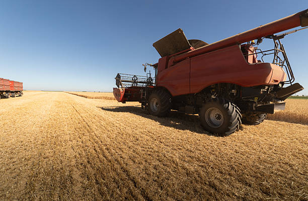 istock Combine harvester in field wheat 2230045116