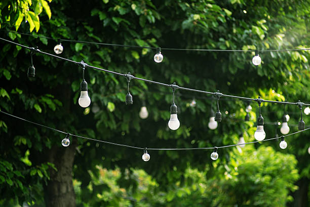 istock String Lights Hanging in Green Garden 2230046363