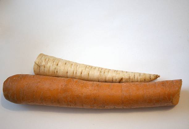 Fresh white and orange carrots placed side by side on a clean white background, photographed in close-up with copy space for food or health concepts.