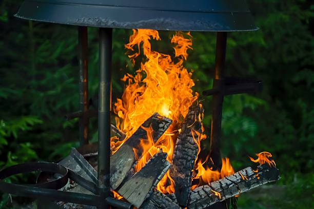 istock Burning wood in a fire pit on a barbecue 2230059499