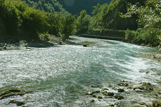 Streams of water from a river flowing over rocks between mountains with green trees and bushes.