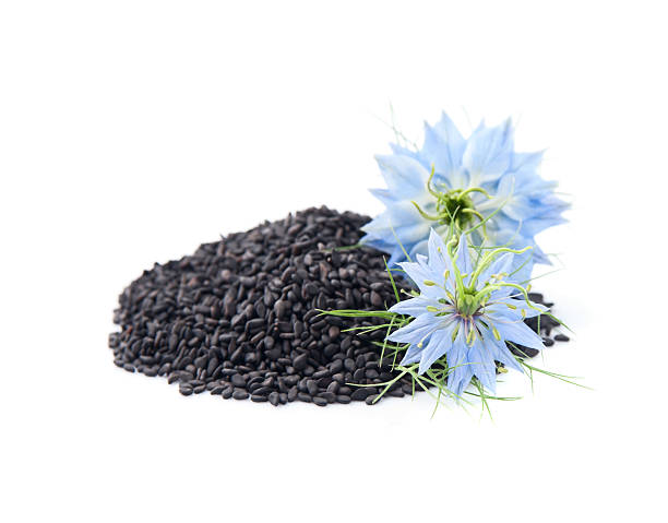 istock Black Cumin seeds and nigella sativa flower 2230067555