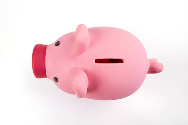 Pink piggy bank on pink fur carpet.