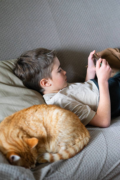 istock Young boy relaxing with a cat on sofa 2230074646